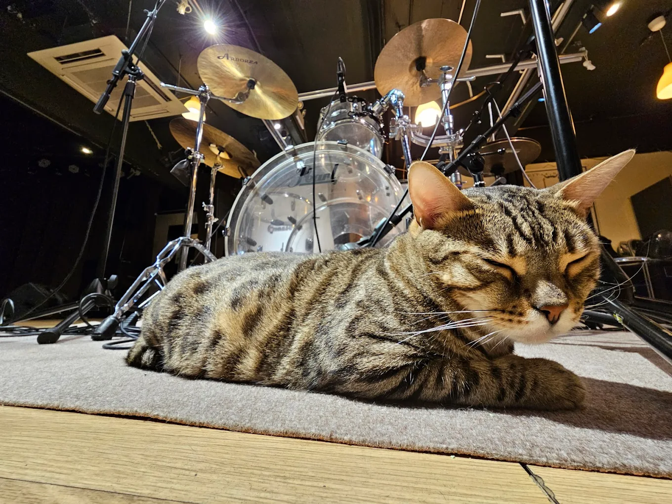 Drummers' Ark 相片4